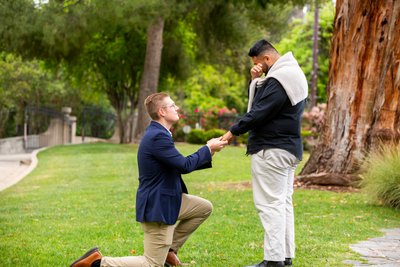 Engagement session at Kimberly Crest House & Gardens in Redlands, CA. Louis G Weiner Photography