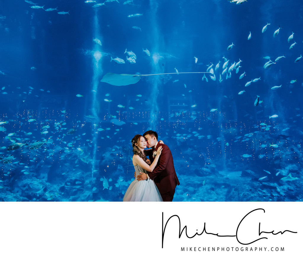Sea Aquarium Wedding Photography