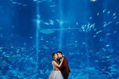 Sea Aquarium Wedding Photography
