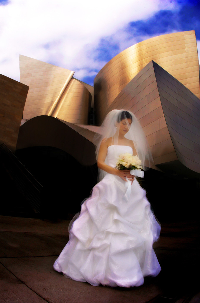 Walt Disney Concert Hall Wedding Nj Wedding Photographers