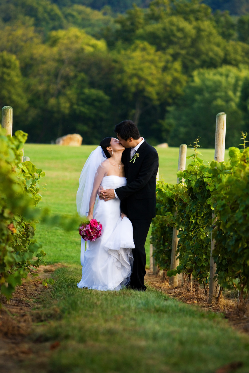 Laurita Winery Wedding Photographer