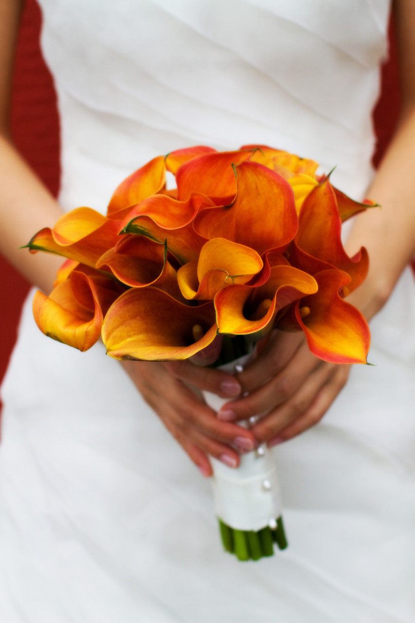 Harrisburg Wedding Photographer