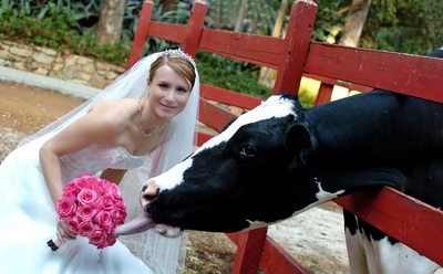 Farm Weddings