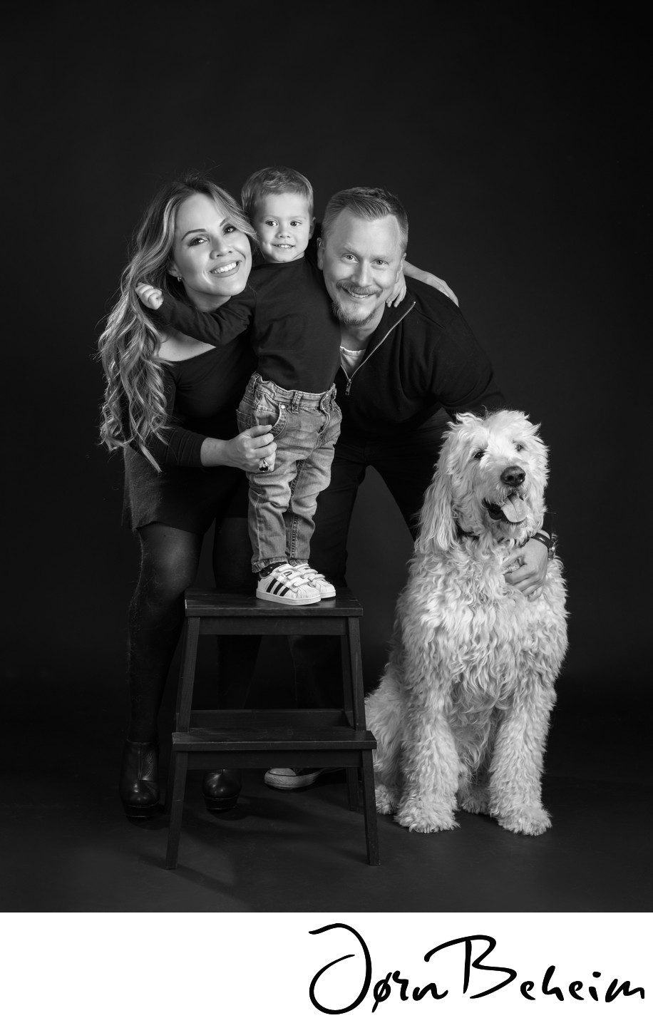 Studiobilder med hund og familie