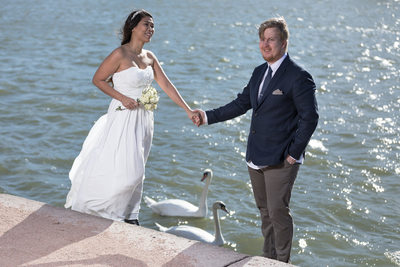 Svaner i bryllupsfoto - se bilder fra fotograf Beheim