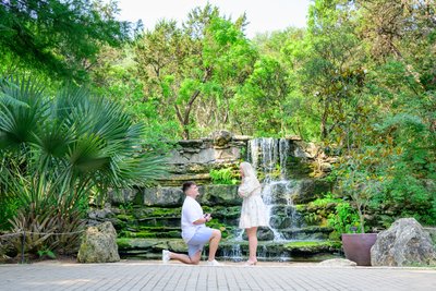Austin Botanical Garden Surprise Proposal