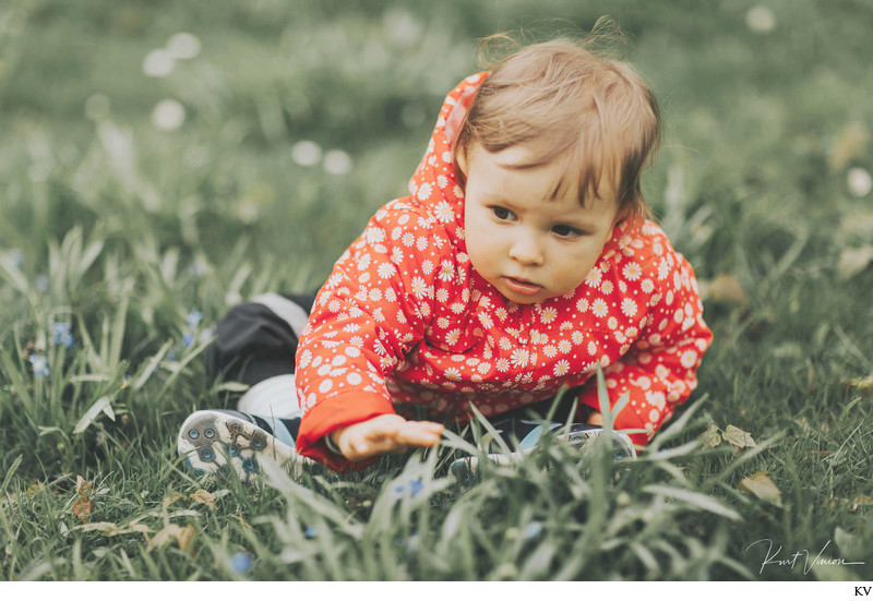 crawling through the grass