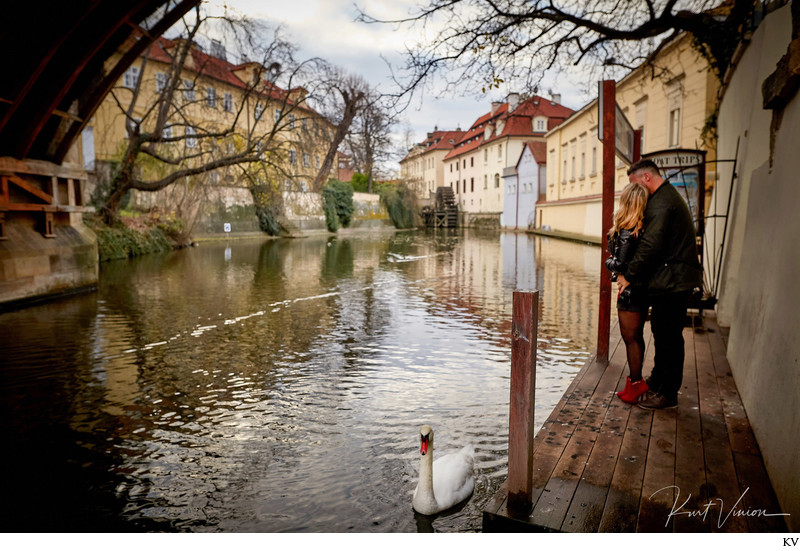 as the swan glides by Prague marriage proposal