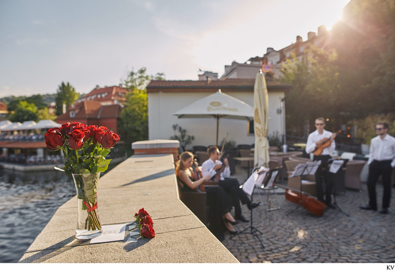 The musicians await with vase of roses and love letter