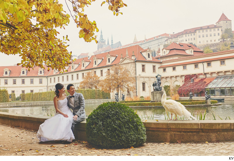 Lovers + White Peacock + Wallenstein Garden + Prague