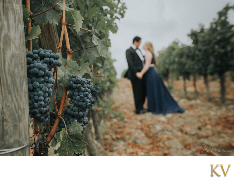 wedding couple in the vineyards Castello Vicchiomaggio