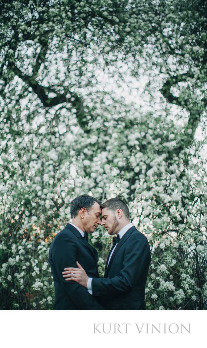 two men embrace under the Cherry Blossom Trees