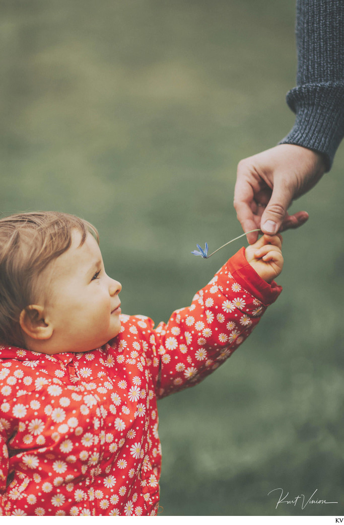 A flower for Papa