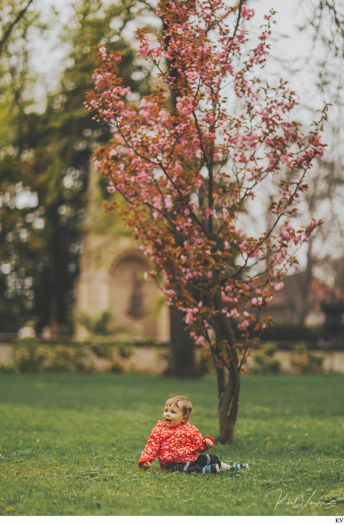 Under the Cherry Blossom trees