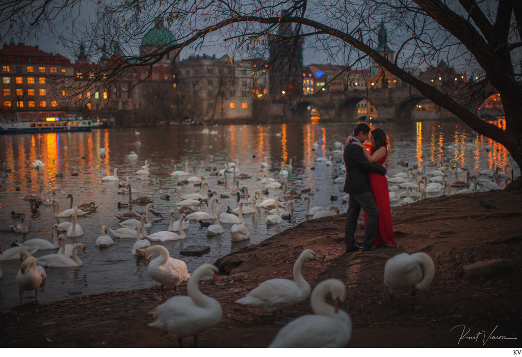 lovers and the swans at night near the riverside