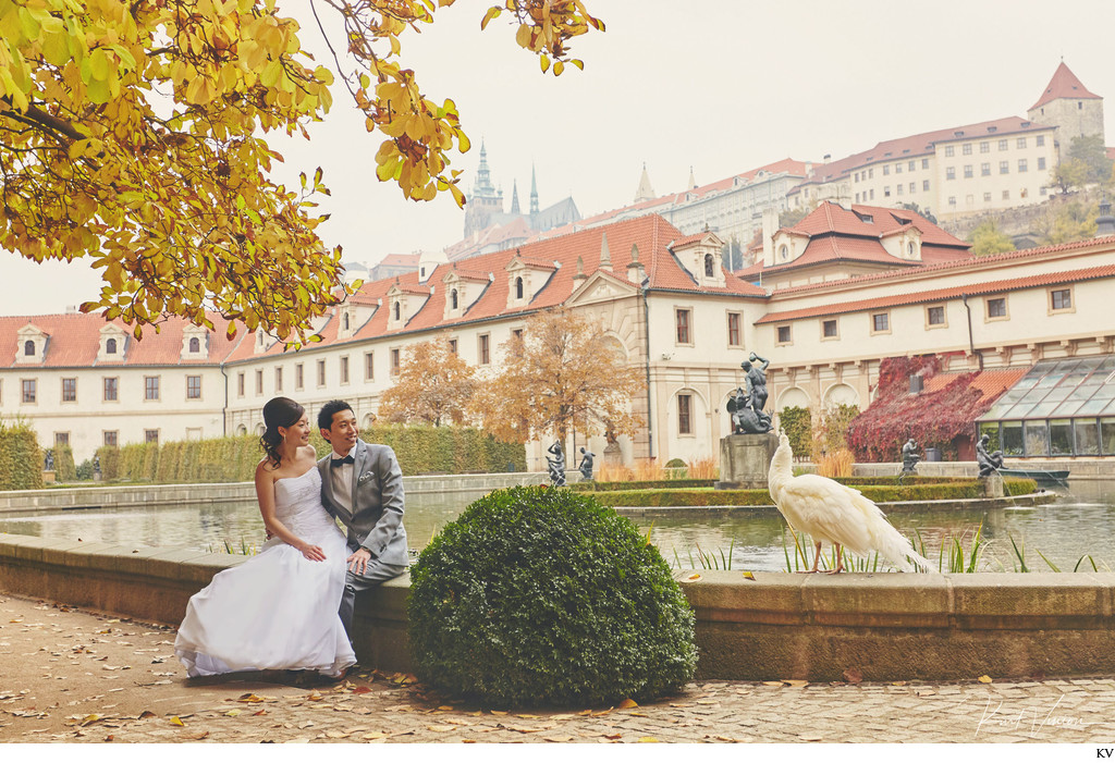 Hong Kong couple white peacock Wallenstein