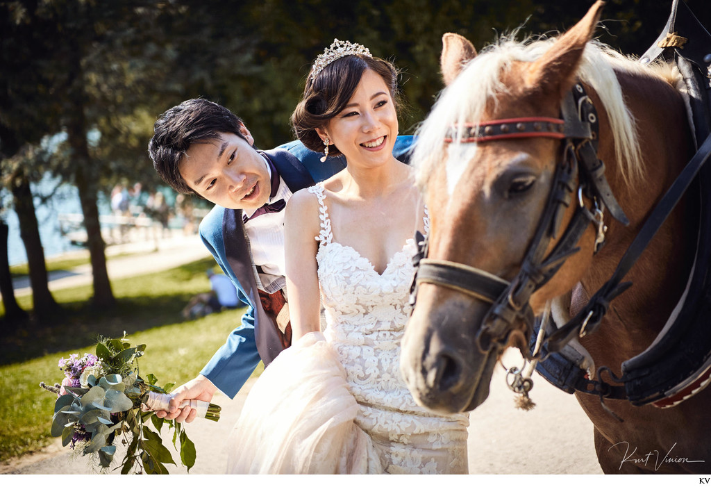 newlyweds and horse