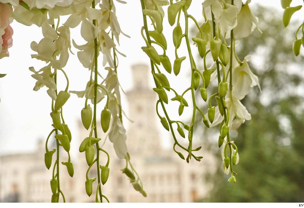 hanging flowers