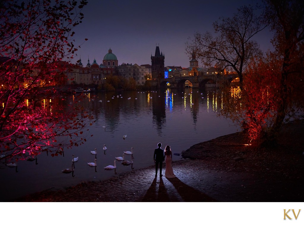 watching swans near Charles Bridge at night