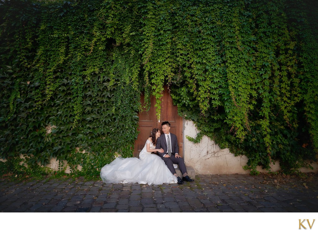 sitting under the ivy