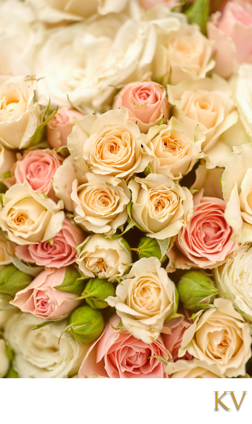 floral arch of roses