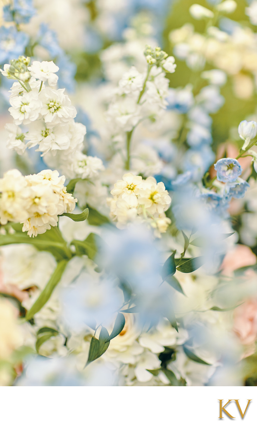 white flowers