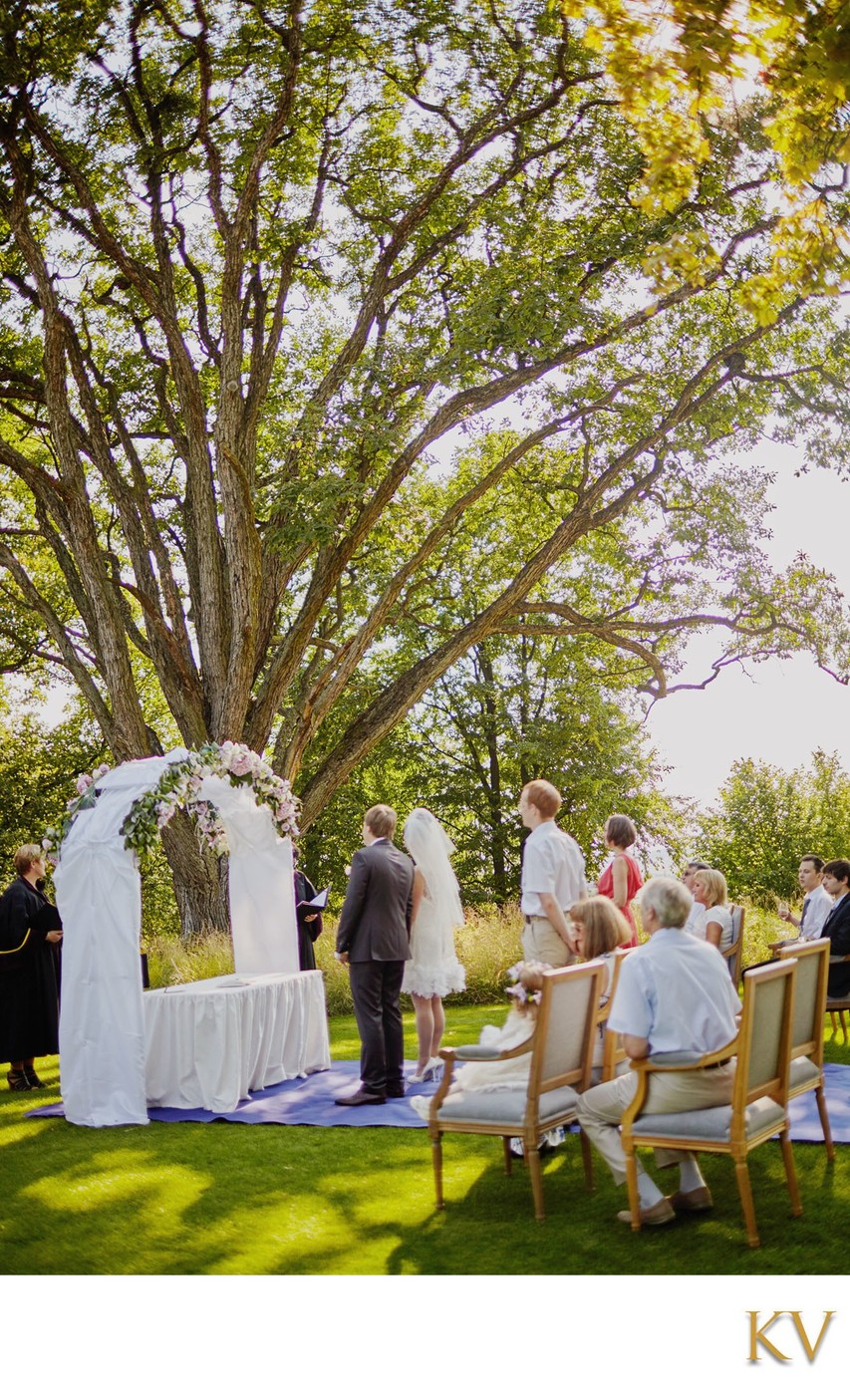 Under The Trees