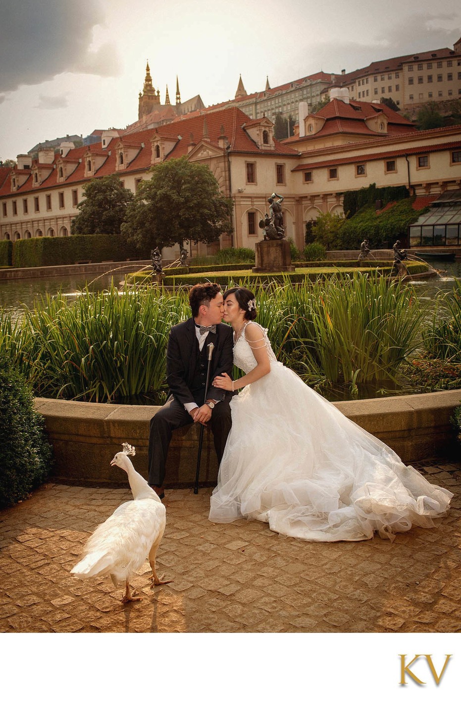 Kissing Macau Couple Watched by Peacock at Wallenstein