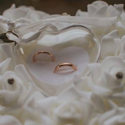 the wedding rings await I Vrtba Garden