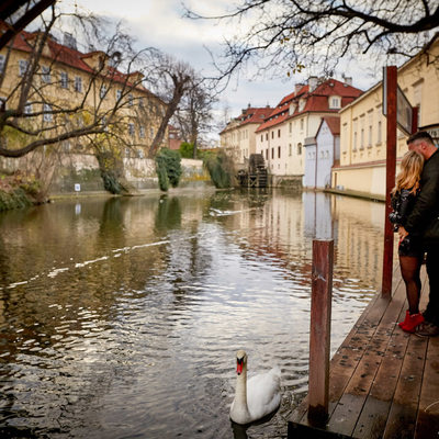 as the swan glides by Prague marriage proposal