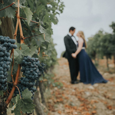 wedding couple in the vineyards Castello Vicchiomaggio