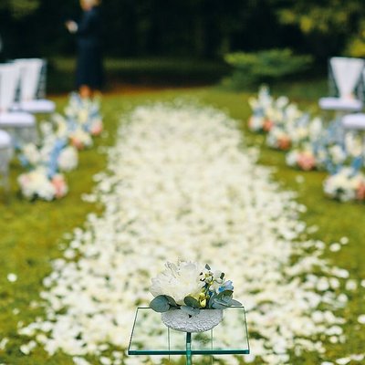 Hluboka nad Vltavou Castle wedding Rose petal carpet