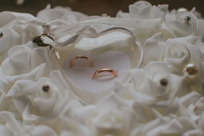 the wedding rings