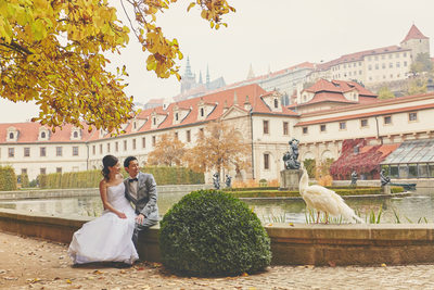 Hong Kong couple white peacock Wallenstein