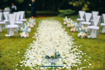 Hluboka nad Vltavou Castle wedding Rose petal carpet