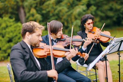 Hluboka nad Vltavou Castle wedding Musicians perform