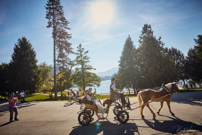 Horse & Carriage ride for newlyweds