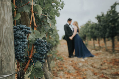 wedding couple in the vineyards Castello Vicchiomaggio