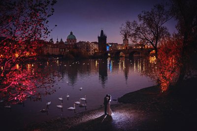 swans watch lovers embrace near riverside at sunrise