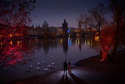 watching swans near Charles Bridge at night