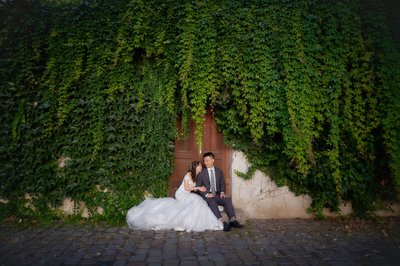 sitting under the ivy