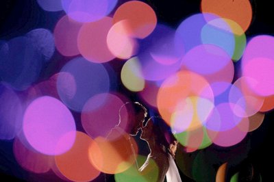 Bokehliscious bride & groom during captivating wedding