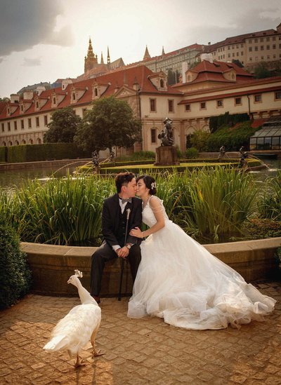 Kissing Macau Couple Watched by Peacock at Wallenstein