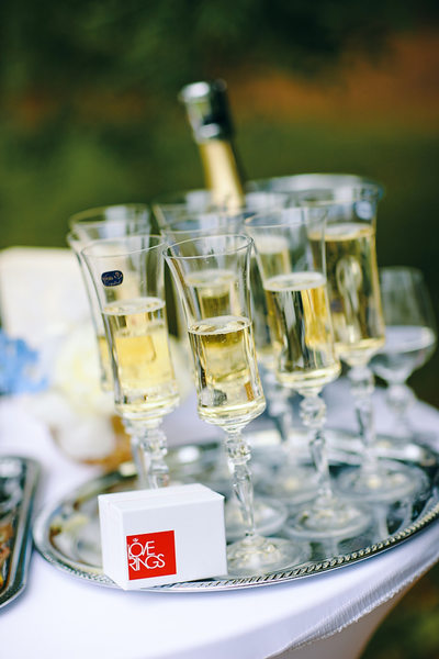Hluboka nad Vltavou Castle wedding Champagne flutes