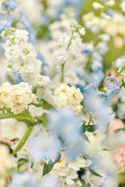 white flowers