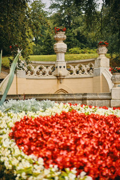 manicured lawn and fountain