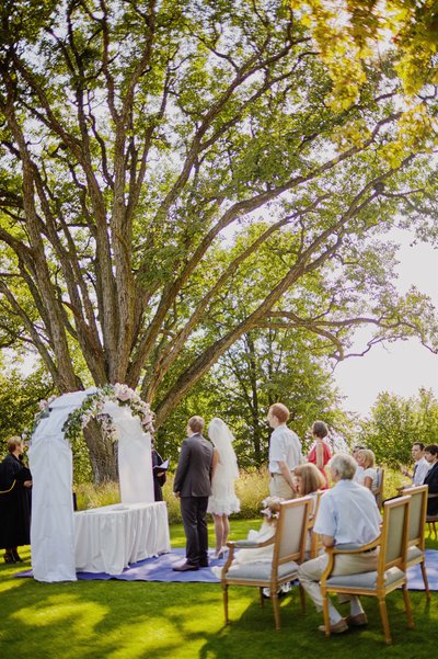 Under The Trees