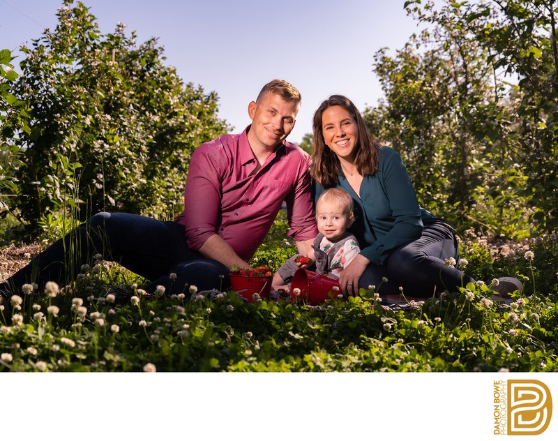 family photographer washington dc maryland virginia mini session strawberries schlagel farm