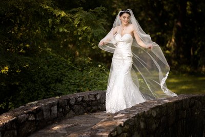romantic photography of bride with veil