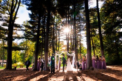 enchanting destination wedding ceremony in the woods